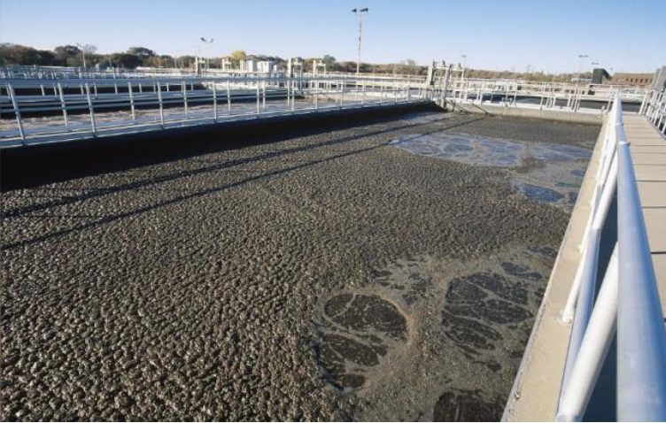 養殖場廢水處理的方法及其處理工藝有哪些（xiē）？