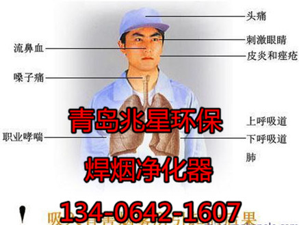 肺髒_副本_副本