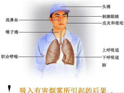肺髒_副（fù）本